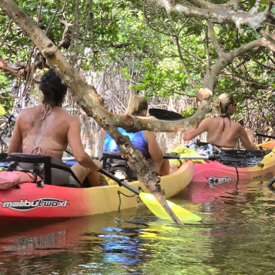 GUIDED ECO-TOURS